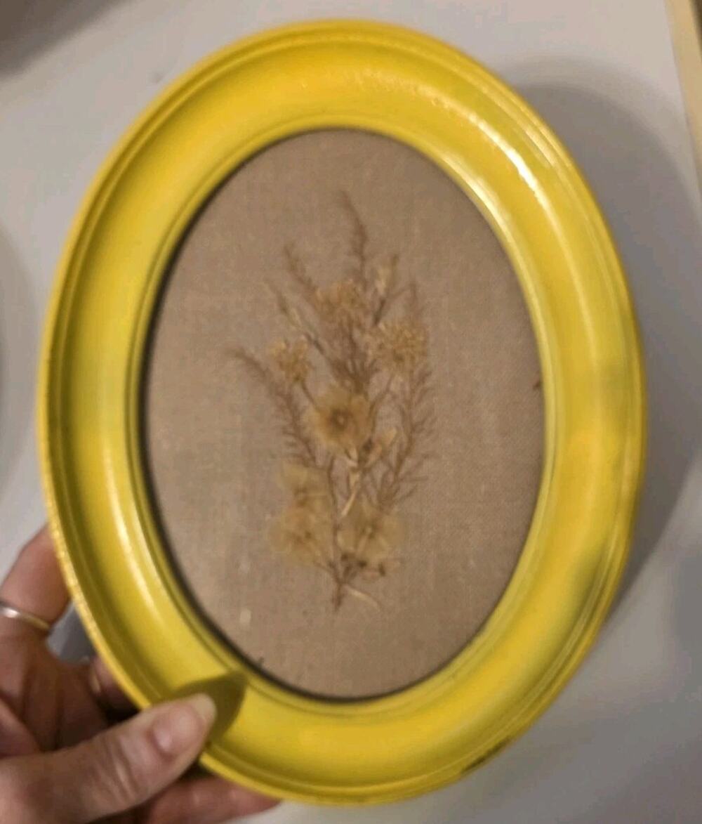 Vtg Yellow Oval Framed Dried Flowers Still Life Wall Décor Heritage Prairie Boho